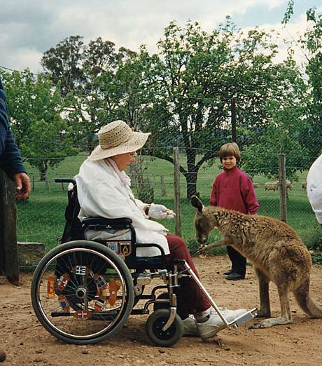 disabled wheelchair travel nan feeds 'roo
