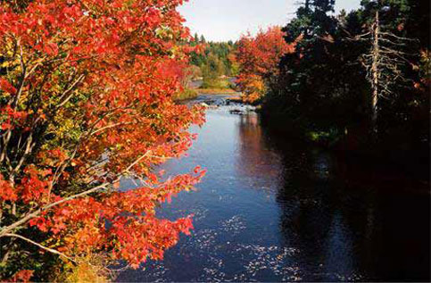Travel in canada in the fall can be a wonderful experince whether you are disabled or not