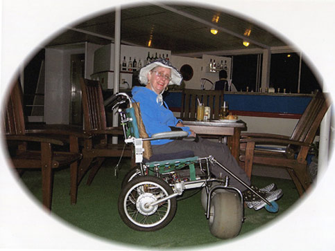 disabled travel wheelchair amazon nancy nate lounge