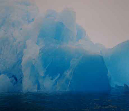 disabled travelers nancy and nate berger with iceberg in antarctic